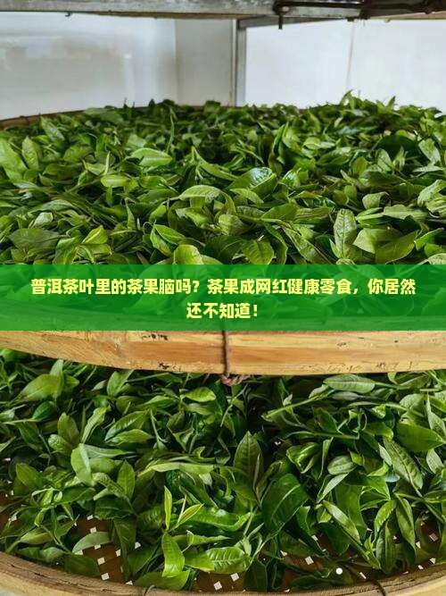 普洱茶叶里的茶果脑吗？茶果成网红健康零食，你居然还不知道！