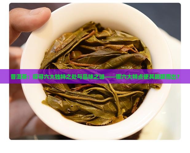 普洱茶：探寻六大独特之处与品味之谜——哪六大特点使其脱颖而出？