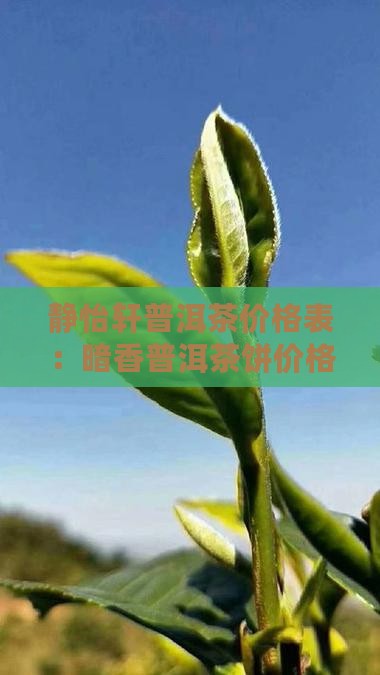 静怡轩普洱茶价格表：暗香普洱茶饼价格