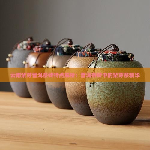云南紫芽普洱茶砖特点解析：普洱茶砖中的紫芽茶精华