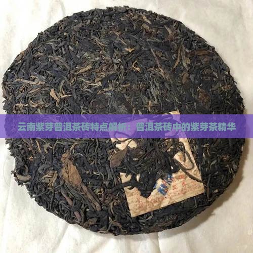 云南紫芽普洱茶砖特点解析：普洱茶砖中的紫芽茶精华