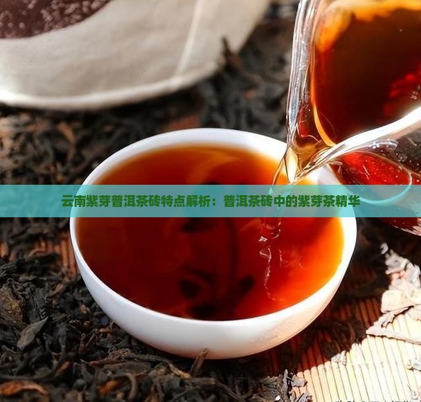 云南紫芽普洱茶砖特点解析：普洱茶砖中的紫芽茶精华