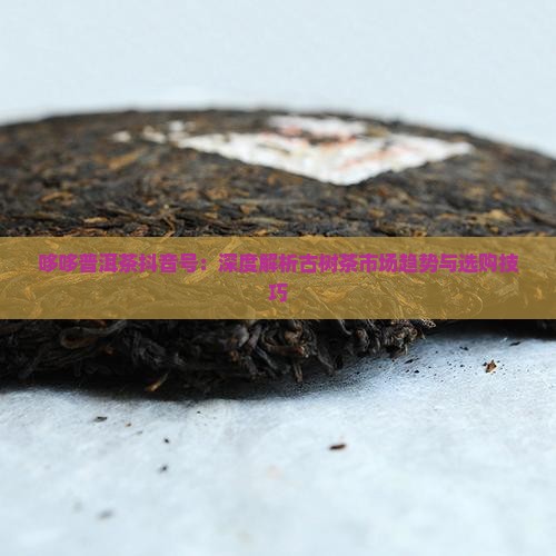 哆哆普洱茶抖音号:深度解析古树茶市场趋势与选购技巧 哆哆普洱茶抖音号:深度解析古树茶市场趋势与选购技巧