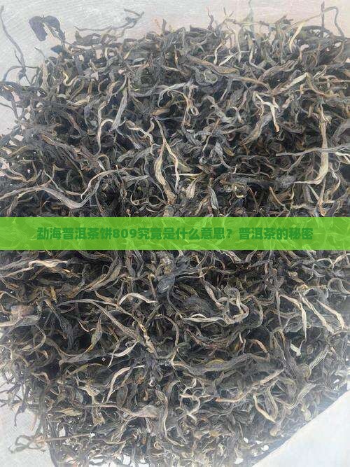 勐海普洱茶饼809究竟是什么意思？普洱茶的秘密