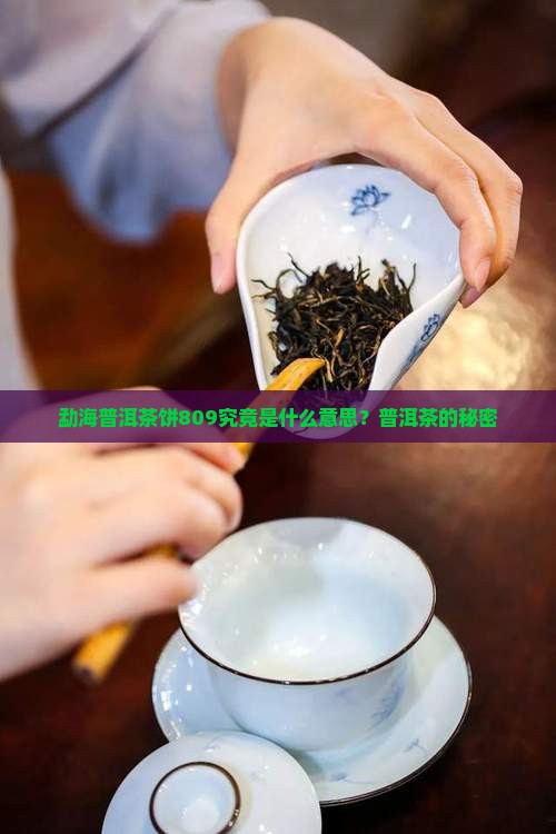 勐海普洱茶饼809究竟是什么意思？普洱茶的秘密