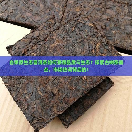 自家原生态普洱茶如何兼顾品质与生态？探索古树茶痛点，市场热词背后的！