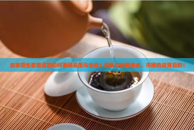 自家原生态普洱茶如何兼顾品质与生态？探索古树茶痛点，市场热词背后的！