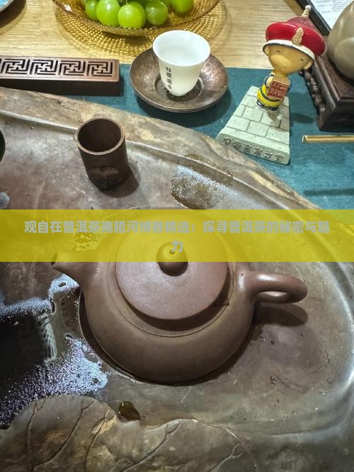 观自在普洱茶南腊河博客精选：探寻普洱茶的秘密与魅力