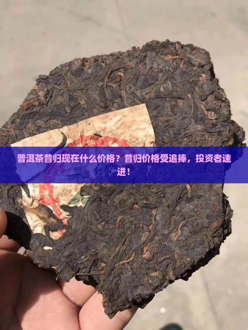 普洱茶昔归现在什么价格？昔归价格受追捧，投资者速进！