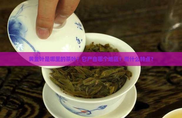 黄金叶是哪里的茶叶？它产自哪个地区？有什么特点？