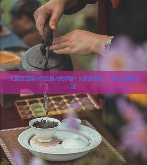 大益普洱茶5级还是7级好喝？5级回甘强，7级口感更细腻