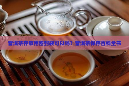 普洱茶存放用密封袋可以吗？普洱茶保存百科全书