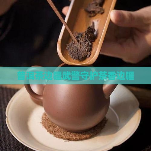 普洱茶边疆武警守护茶香边疆