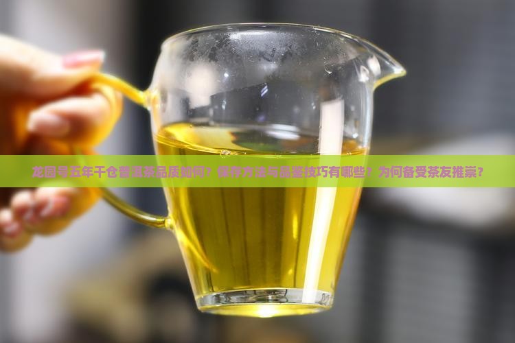 龙园号五年干仓普洱茶品质如何？保存方法与品鉴技巧有哪些？为何备受茶友推崇？