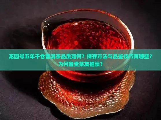 龙园号五年干仓普洱茶品质如何？保存方法与品鉴技巧有哪些？为何备受茶友推崇？