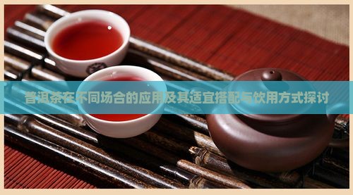 普洱茶在不同场合的应用及其适宜搭配与饮用方式探讨