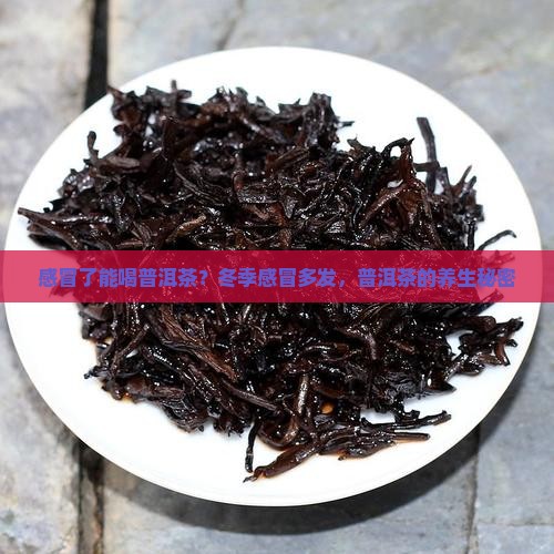 感冒了能喝普洱茶？冬季感冒多发，普洱茶的养生秘密