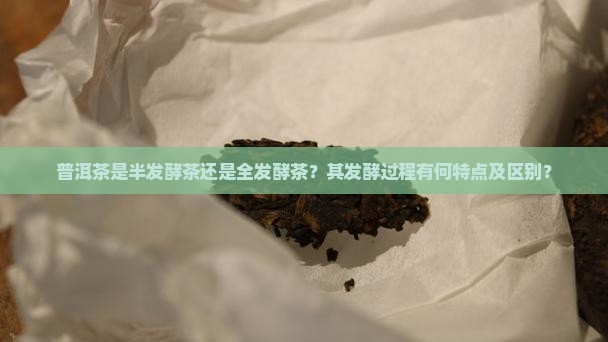 普洱茶是半发酵茶还是全发酵茶？其发酵过程有何特点及区别？