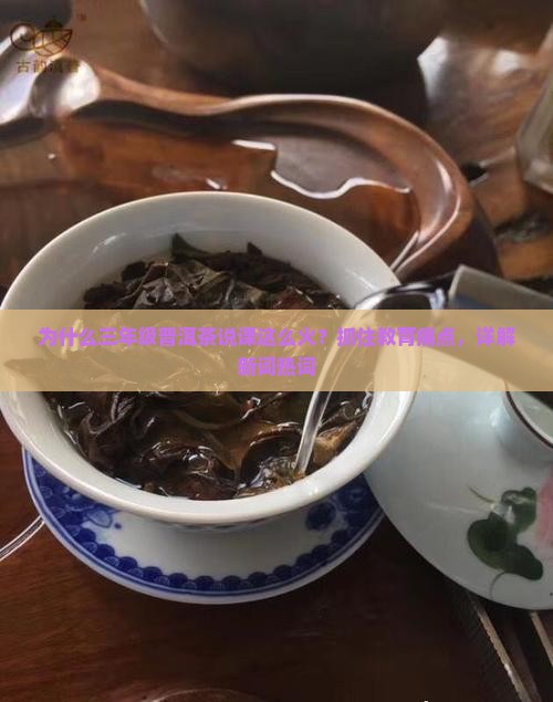 为什么三年级普洱茶说课这么火？抓住教育痛点，详解新词热词