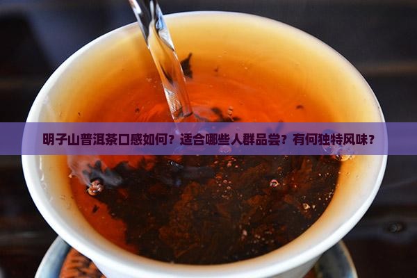 明子山普洱茶口感如何？适合哪些人群品尝？有何独特风味？