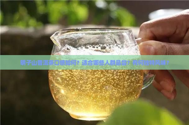 明子山普洱茶口感如何？适合哪些人群品尝？有何独特风味？