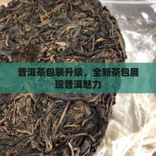 普洱茶包装升级，全新茶包展现普洱魅力
