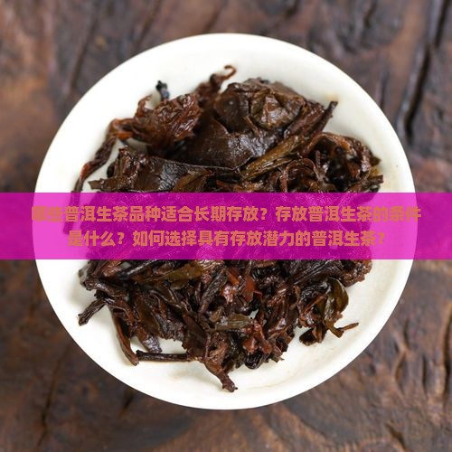 哪些普洱生茶品种适合长期存放？存放普洱生茶的条件是什么？如何选择具有存放潜力的普洱生茶？