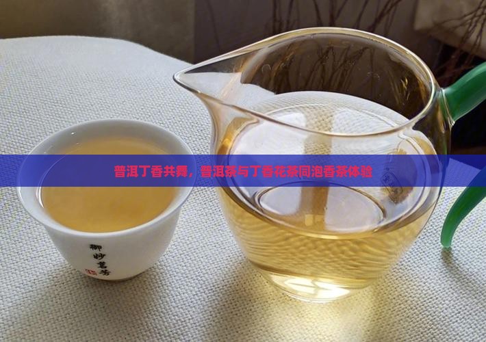普洱丁香共舞，普洱茶与丁香花茶同泡香茶体验