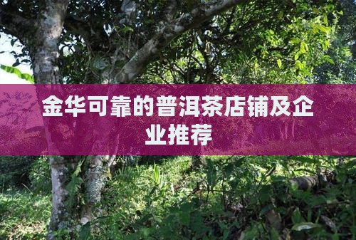 金华可靠的普洱茶店铺及企业推荐