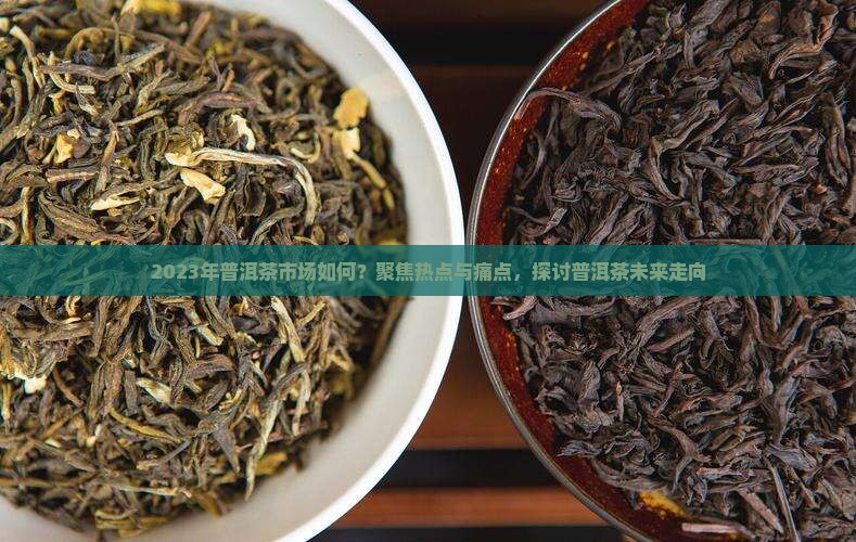 2023年普洱茶市场如何？聚焦热点与痛点，探讨普洱茶未来走向