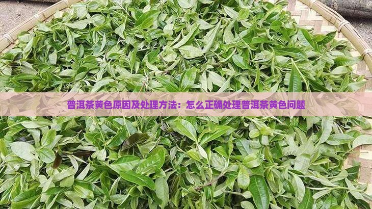 普洱茶黄色原因及处理方法：怎么正确处理普洱茶黄色问题