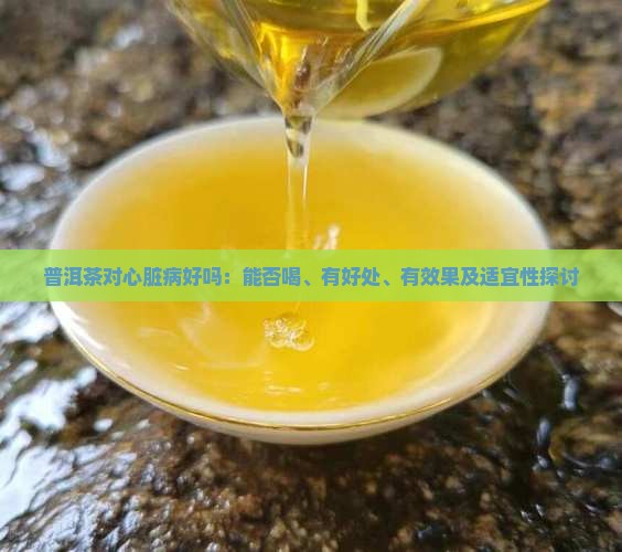 普洱茶对心脏病好吗：能否喝、有好处、有效果及适宜性探讨