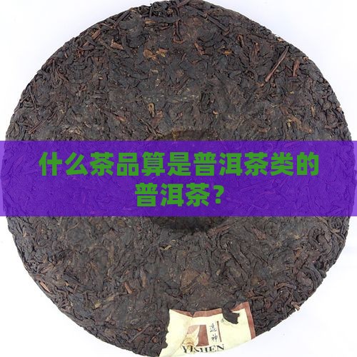 什么茶品算是普洱茶类的普洱茶？