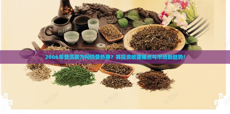 2006年普洱茶为何仍受热捧？其投资收藏痛点与市场新趋势！