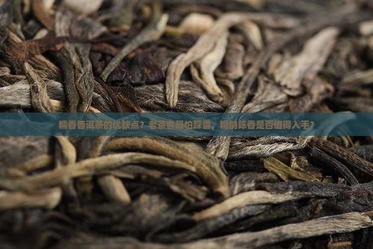 糯香普洱茶的优缺点？老茶客最怕踩雷，糯韵陈香是否值得入手？