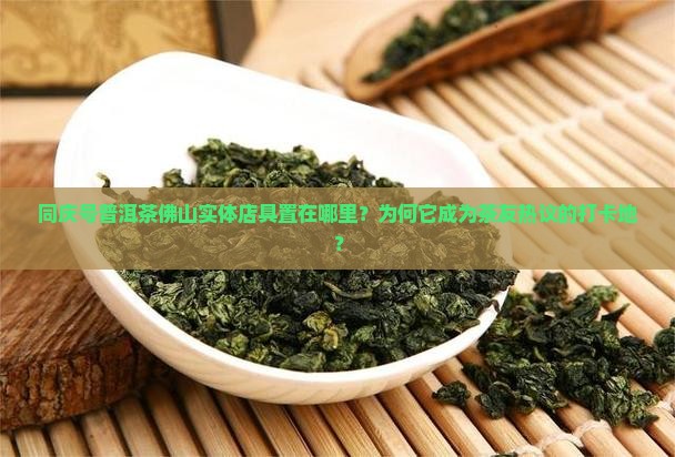 同庆号普洱茶佛山实体店具置在哪里？为何它成为茶友热议的打卡地？