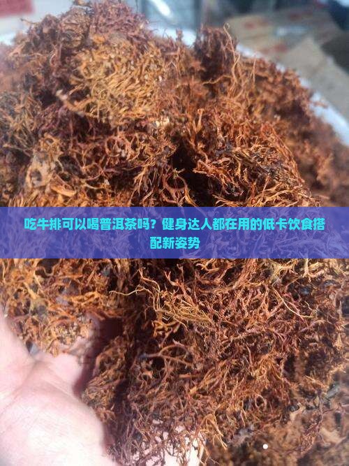 吃牛排可以喝普洱茶吗？健身达人都在用的低卡饮食搭配新姿势