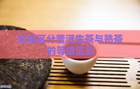 如何区分普洱生茶与熟茶的等级区别