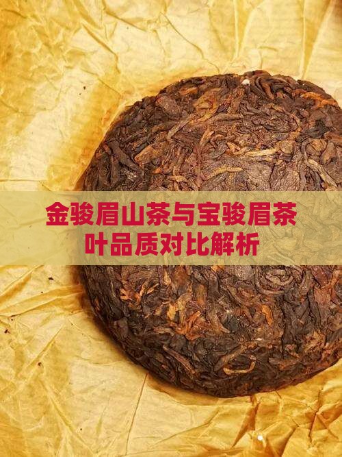 金骏眉山茶与宝骏眉茶叶品质对比解析