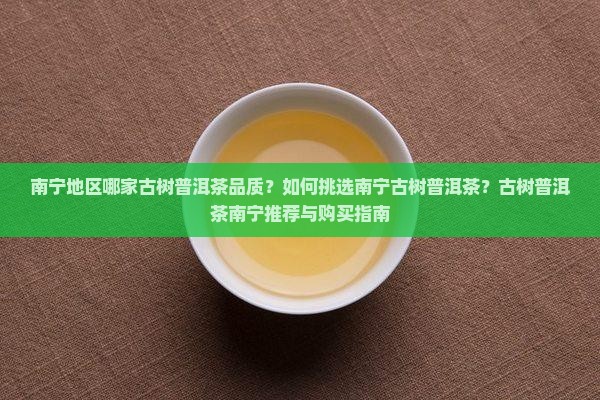 南宁地区哪家古树普洱茶品质？如何挑选南宁古树普洱茶？古树普洱茶南宁推荐与购买指南