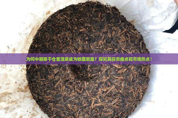 为何中期茶干仓普洱茶成为收藏新宠？探究其投资痛点和市场热点！