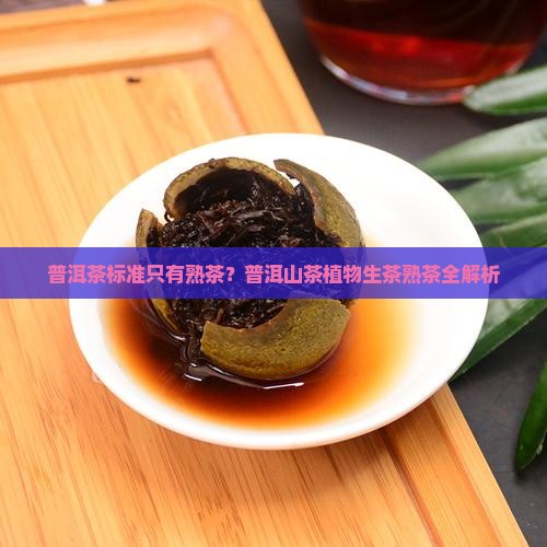 普洱茶标准只有熟茶？普洱山茶植物生茶熟茶全解析