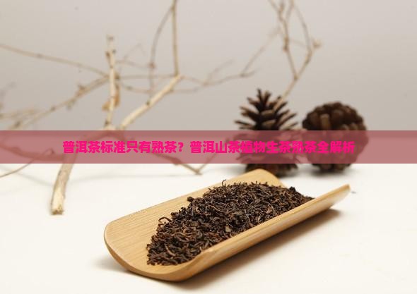普洱茶标准只有熟茶？普洱山茶植物生茶熟茶全解析