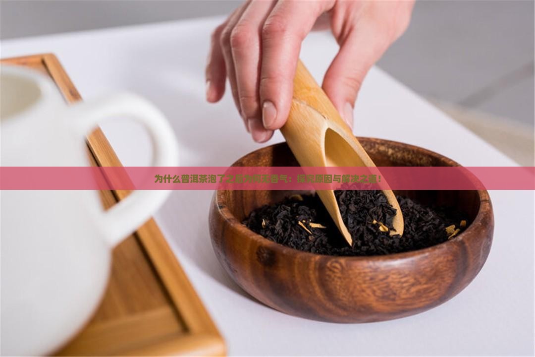 为什么普洱茶泡了之后为何无香气：探究原因与解决之道！
