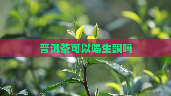 普洱茶可以喝生酮吗