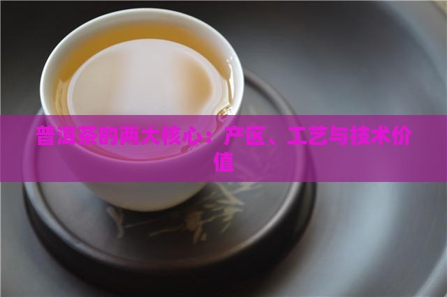 普洱茶的两大核心：产区、工艺与技术价值
