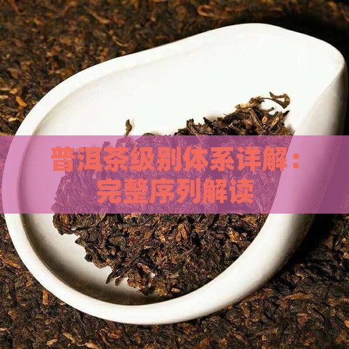 普洱茶级别体系详解：完整序列解读