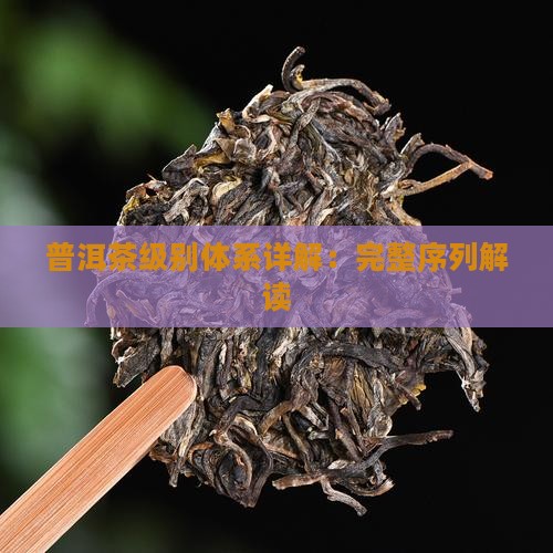 普洱茶级别体系详解：完整序列解读