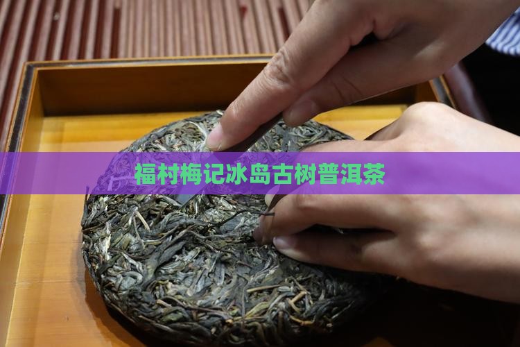 福村梅记冰岛古树普洱茶
