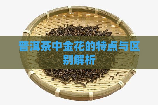 普洱茶中金花的特点与区别解析